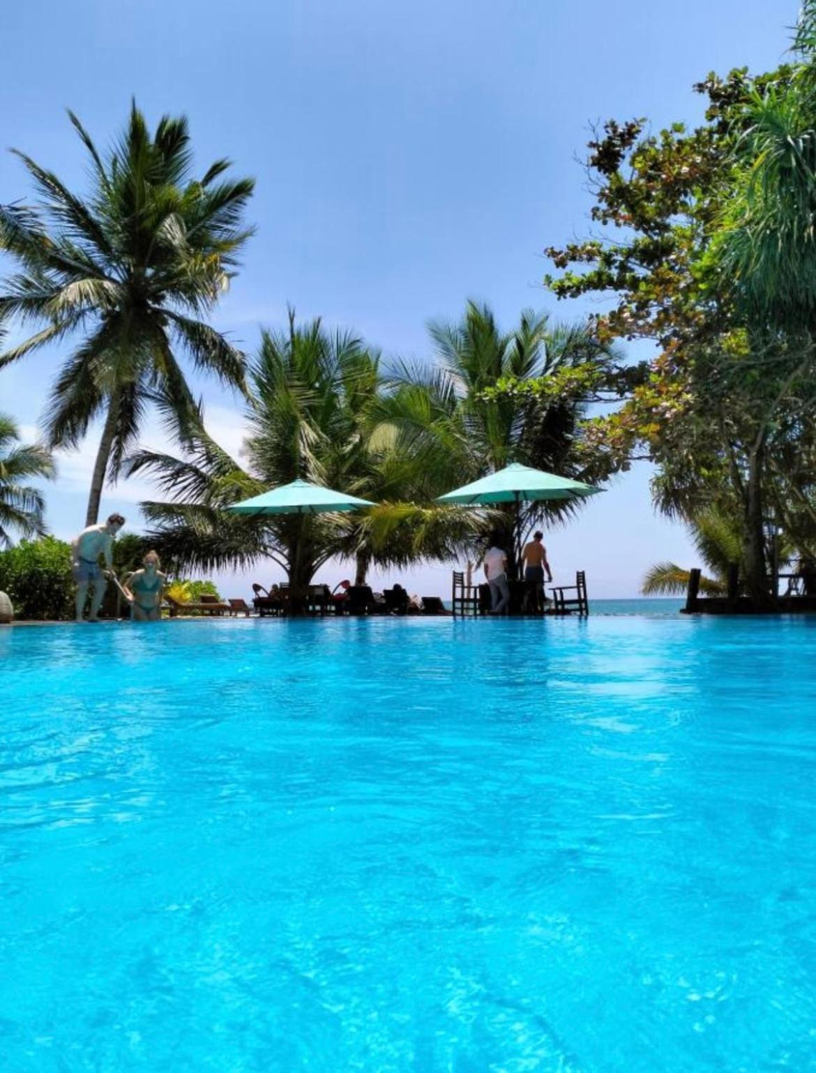Marakolliya Beach Resort 탕갈레 외부 사진